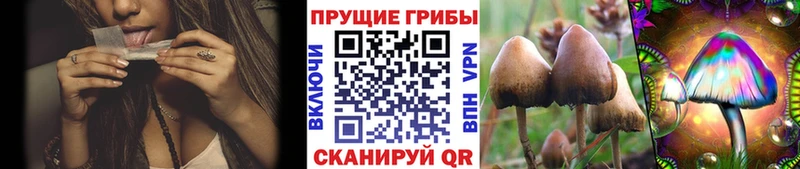 Галлюциногенные грибы GOLDEN TEACHER Истра